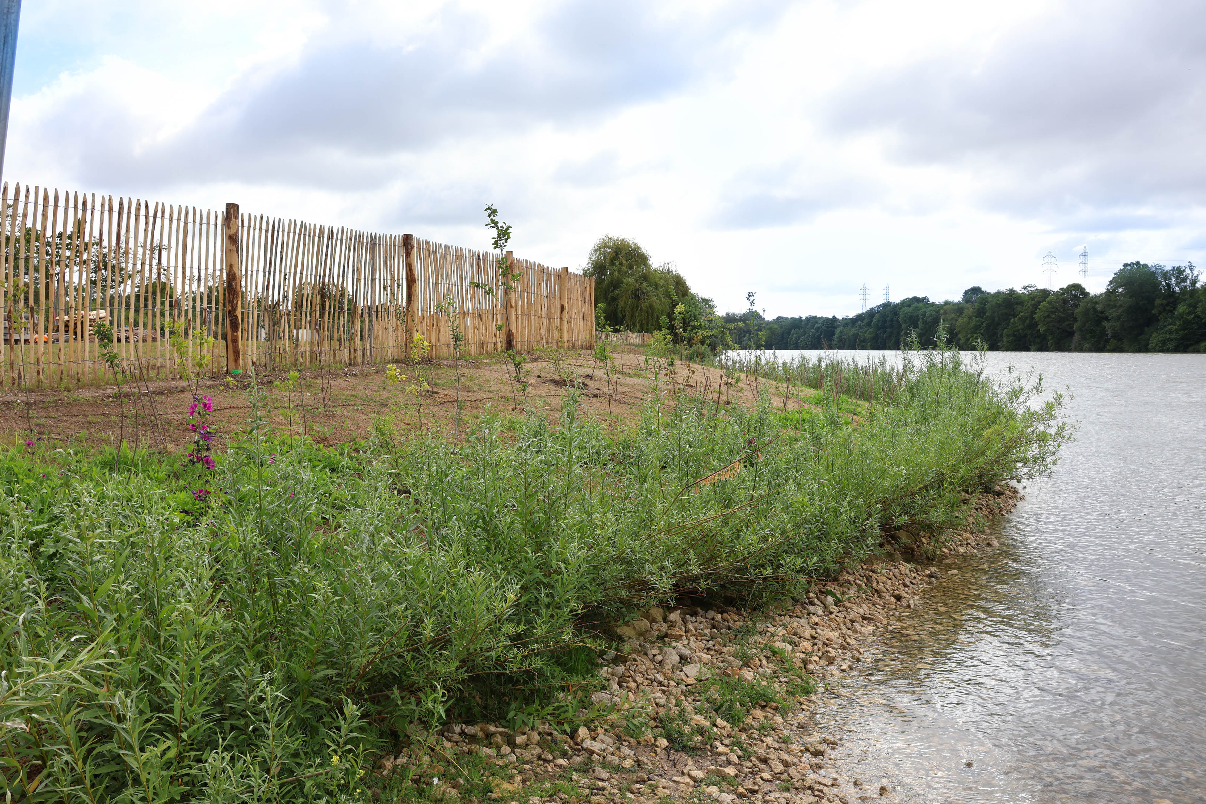 Zone de compensation écologique