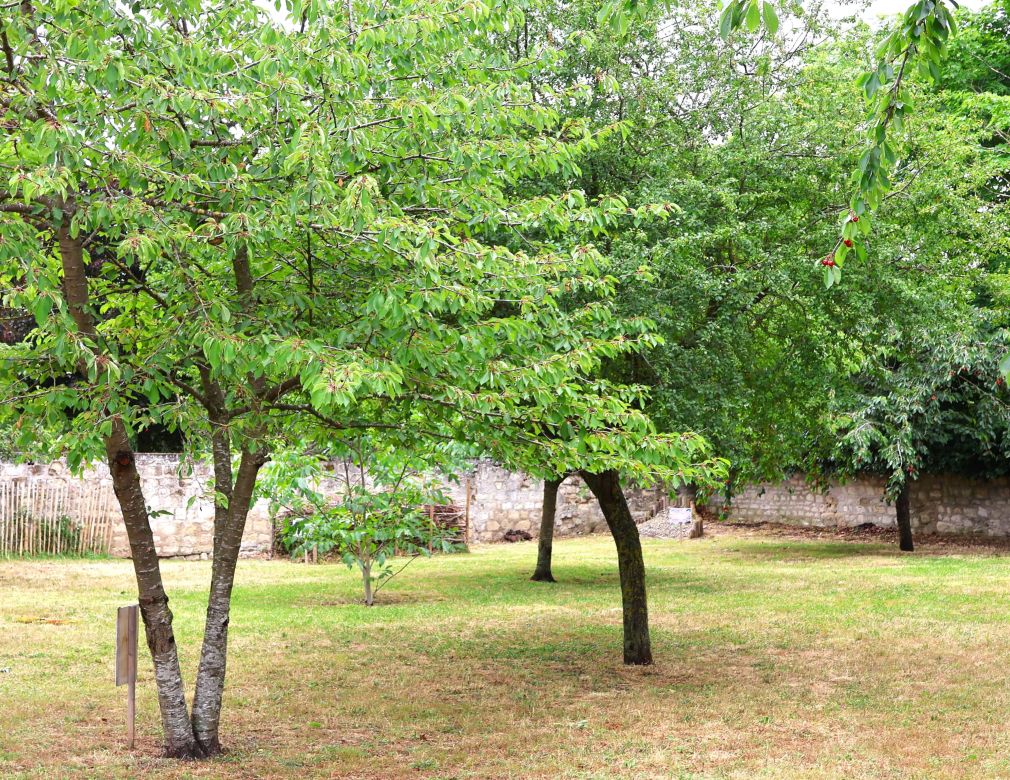 Verger Ferme à Riant