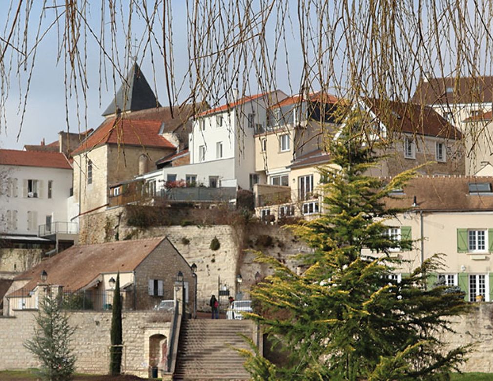 Panoramique arbre mairie 
