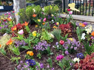 Fleurs