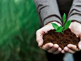 distribution compost