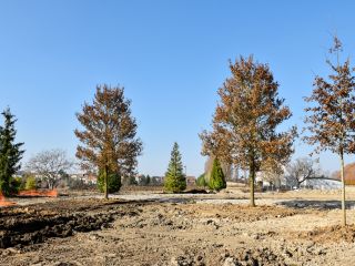 Parc paysager : plantations des 48 arbres