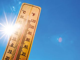 canicule