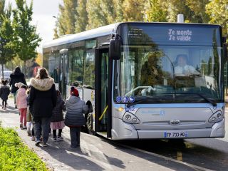 Bus