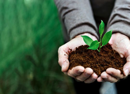 distribution compost