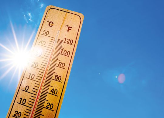 canicule