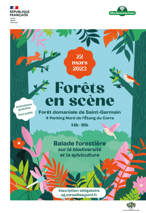 Affiche Journée internationale des forêts