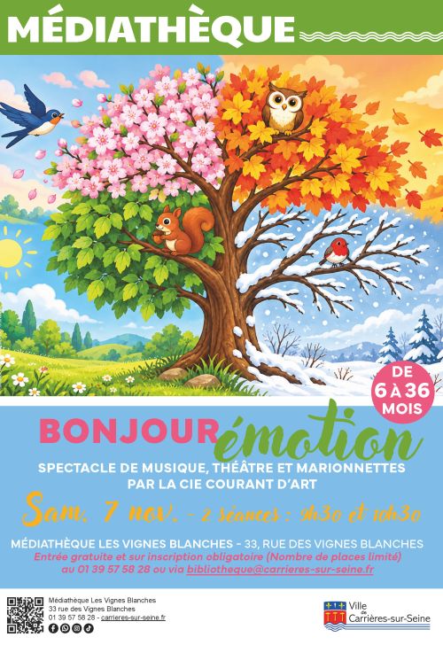 Affiche spectacle bonjour émotion