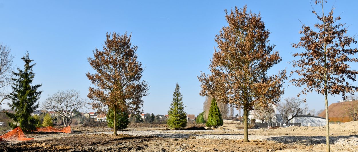 Parc paysager : plantations des 48 arbres