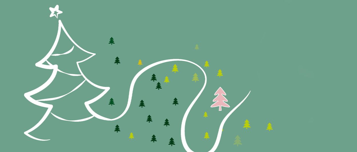 Collecte des sapins 2025