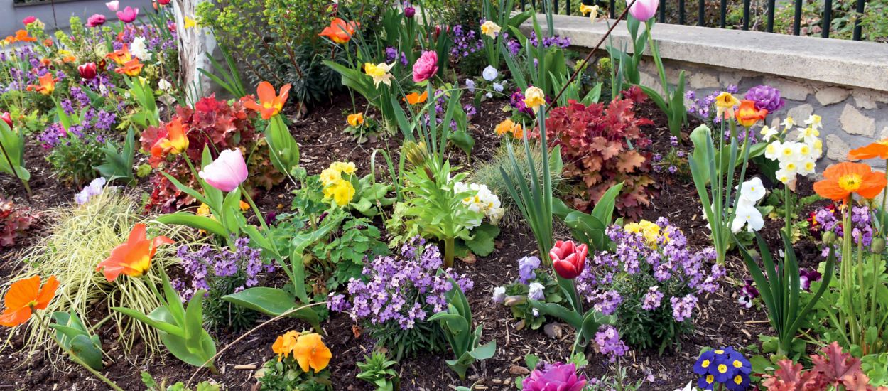 Fleurs