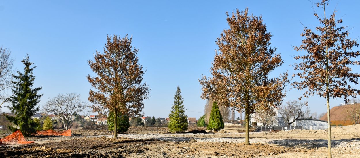 Parc paysager : plantations des 48 arbres