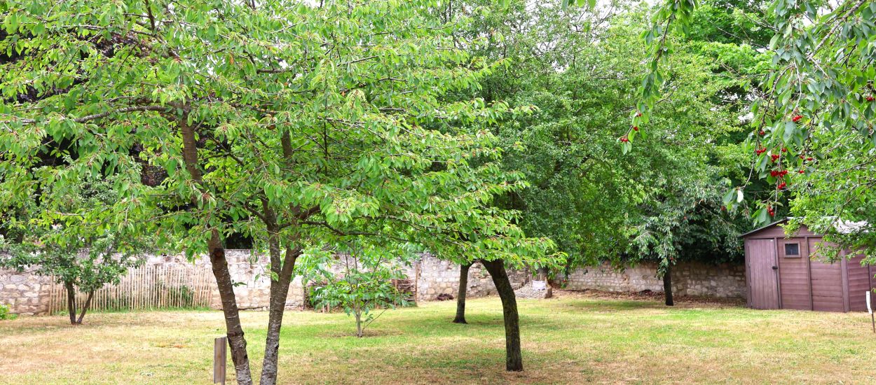 Verger Ferme à Riant