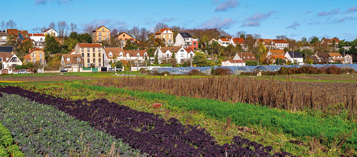 Zone Agricole Protégée