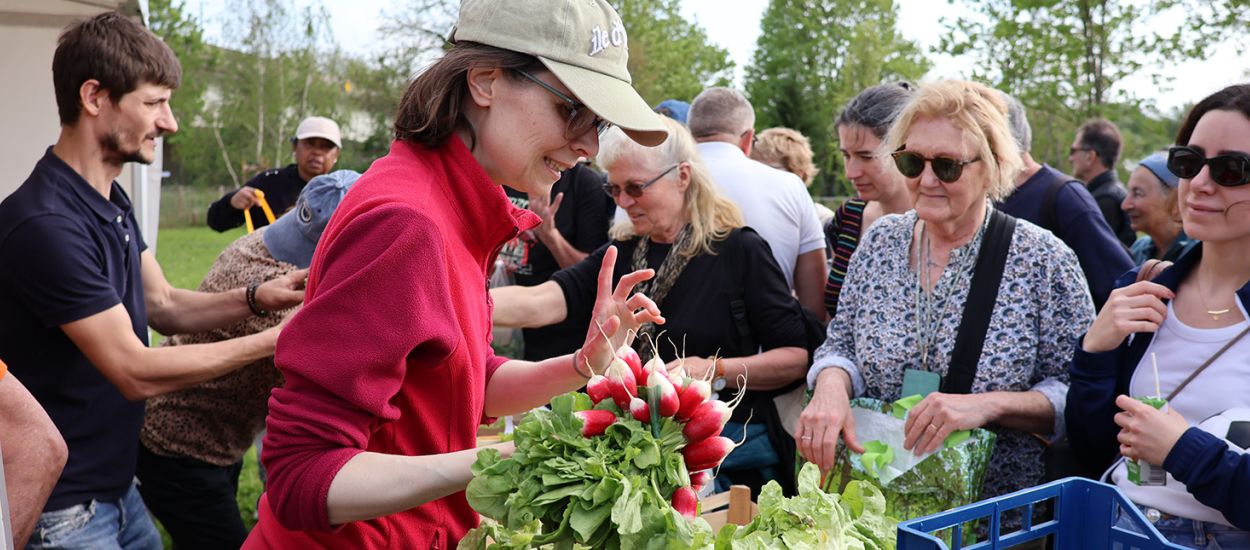 Fête de la salade