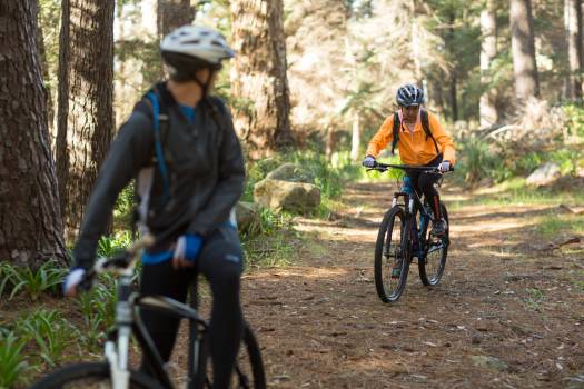 Jeunes à vélo en forêt