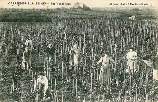 histoire agriculture