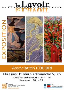 affiche exposition Lavoir - association colibri
