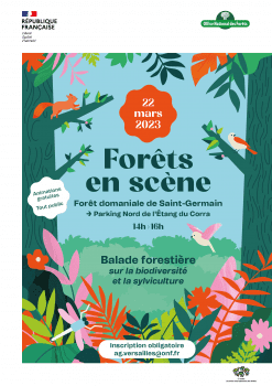 Affiche Journée internationale des forêts