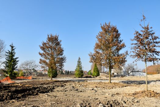 Parc paysager : plantations des 48 arbres