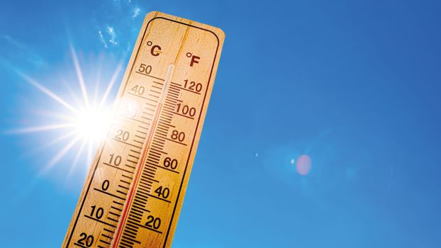canicule