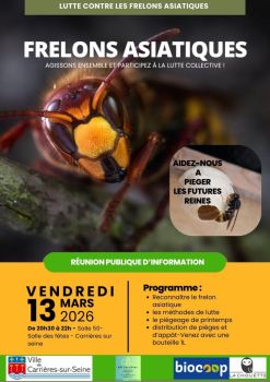 Affiche lutte contre le frelons asiatiques