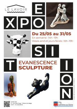 affiche evanescence