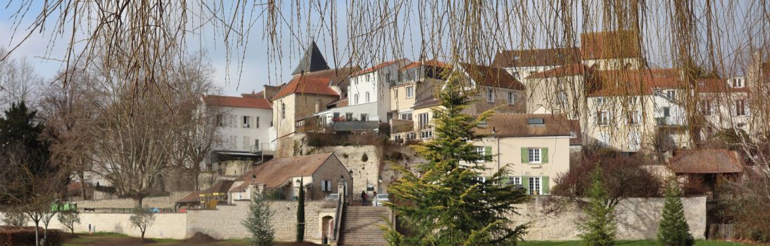 Panoramique arbre mairie 