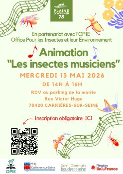 affiche les insectes musiciens