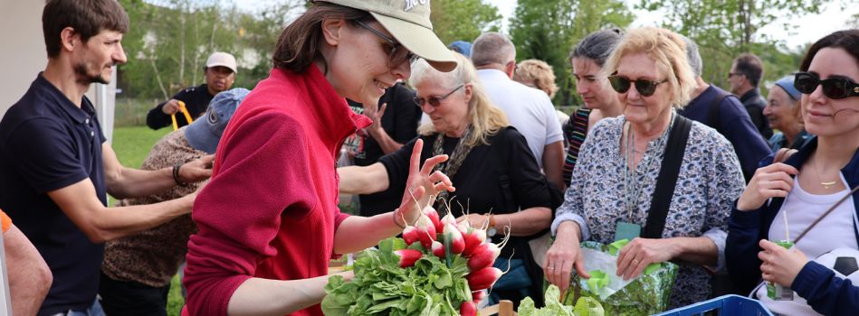 Fête salade nouvelle