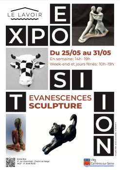 affiche evanescences