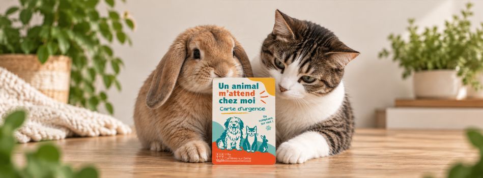 Document à télécharger ou à imprimer