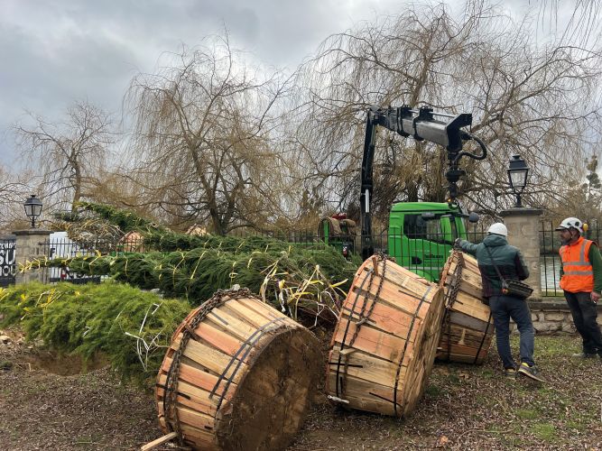 Plantation du parc de la mairie