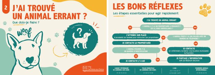 J'ai trouvé un animal errant
