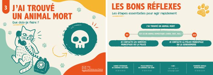 Fiche - J'ai trouvé un animal mort