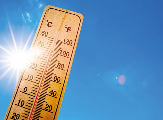 canicule