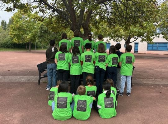 NAH collège les amandiers