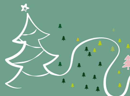 Collecte des sapins 2025