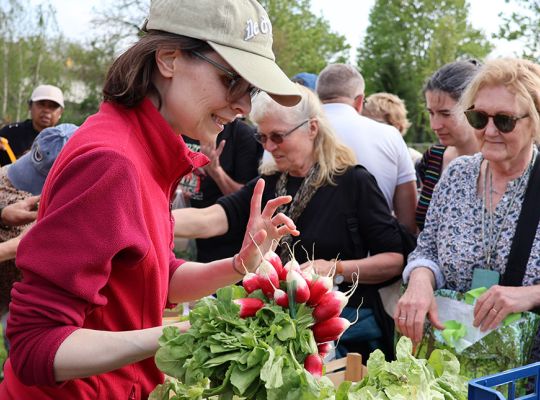 Fête de la salade