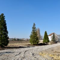 Parc paysager : plantations des arbres