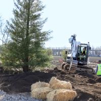 Parc paysager : plantations des arbres