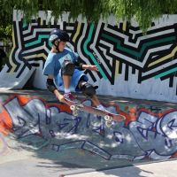 Skate contest 2025
