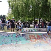 Skate contest 2025