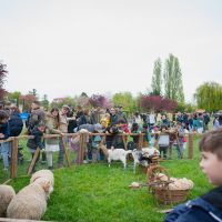 Chasse aux oeufs 