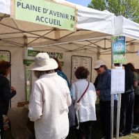 Fête de la salade 