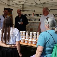 Fête de la salade 