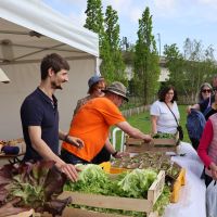 Fête de la salade 