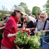 Fête de la salade 