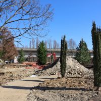 Parc paysager : plantations des arbres (mars 2025)