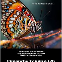 Affiche concert de fin de stage